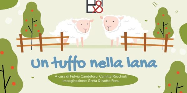 Un tuffo nella lana Reggio Emilia